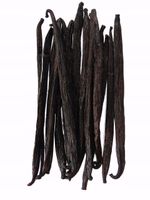 WANILIA LASKI 14 SZT 12-14cm Laska Wanilii GRUBE