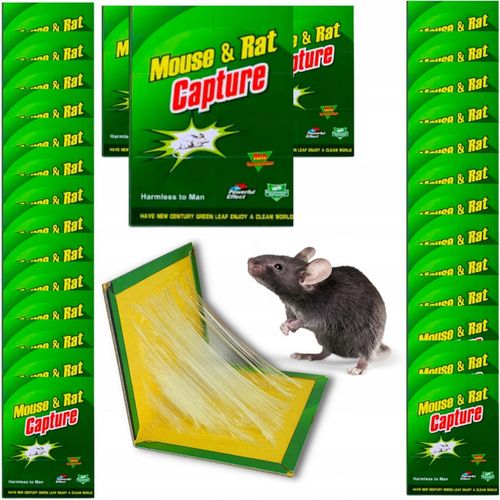 LEP NA MYSZY SILNA PUŁAPKA NA SZCZURY GRYZONIE MYSZOŁAPKA KLEJ ŁAPKA na Arena.pl