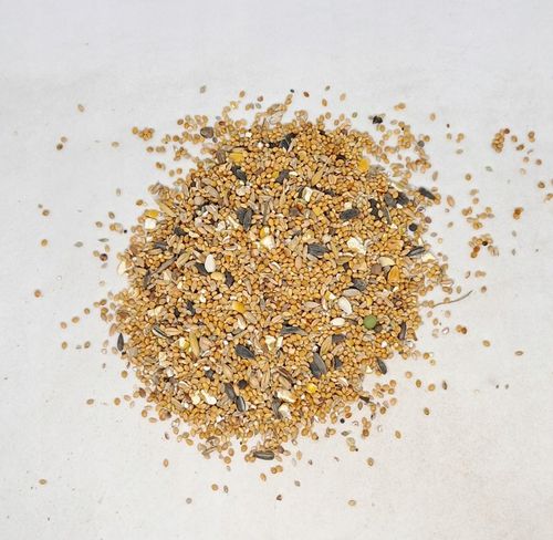 Kampol O-MIX DROBNY karma dla Papug, Dzikich Ptaków 25kg na Arena.pl