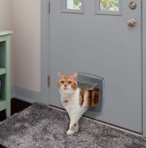 Szare drzwiczki z systemem blokowania dla kotów i małych psów - Swing 3 na Arena.pl