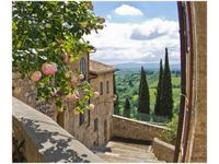 60X50CM RÓŻE BALKONIE OBRAZ ŚCIAN DREWNIANE