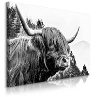 Obraz Do Salonu Krowa Szkocka Czarno-Biały Pejzaż Góry Natura 70cm x 50cm