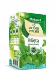 HERBAPOL HERBATA ZIELNIK MIĘTA 20TB