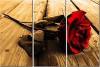 product-compare-58676301