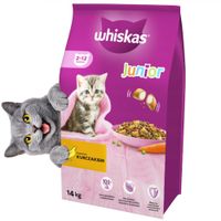 sucha karma dla kociąt whiskas junior z kurczakiem 14kg