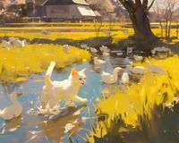 Plakat 50x40cm Słońce na Wsi