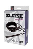 blaze collar and leash purple