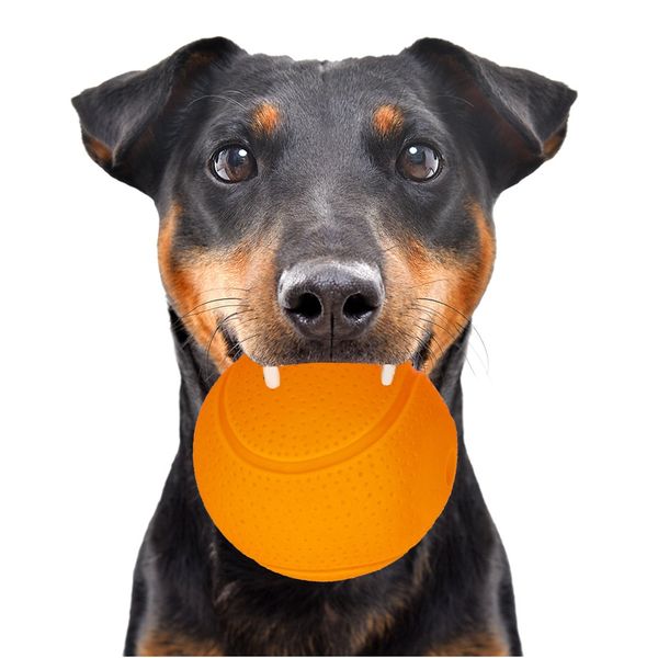 HappyPet Glow Balls - piszcząca piłka zdjęcie 1