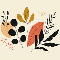 product-compare-59447144