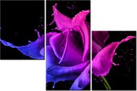 60 90CM OBRAZ 3 ELEM RÓŻA FARB JAKUB BANAŚ ŚCIENNY DRUK PŁÓTNO