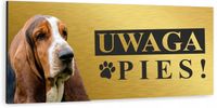 Tabliczka UWAGA ZŁY PIES BASSET HOUND złota