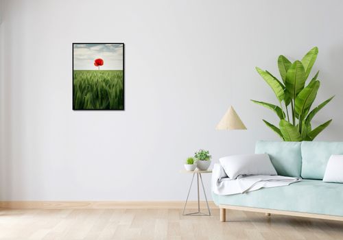 Plakat 50x65cm Samotny Mak na Polu na Arena.pl
