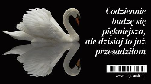 Magnes 3 na lodówkę Codziennie budzę się piękniejsza na Arena.pl