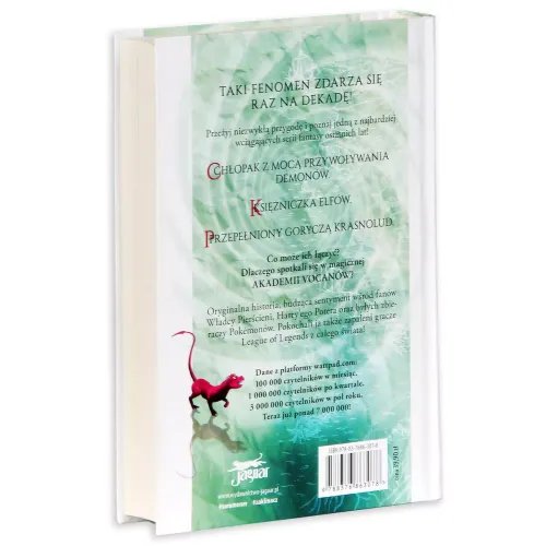 Summoner. Zaklinacz. Tom 1. Początek na Arena.pl