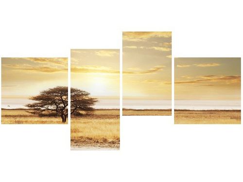 140CM 70 OBRAZ SAFARI ŚCIENNY na Arena.pl