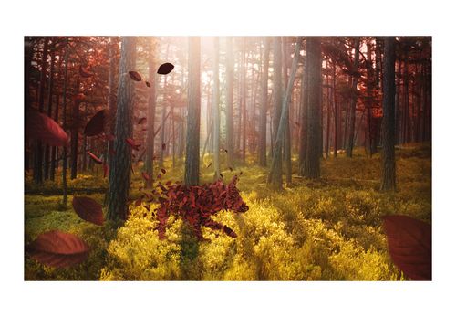 Fototapeta - Animizm 450x270 na Arena.pl