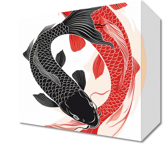 Obraz 20x20cm Yin i Yang Koi zdjęcie 1