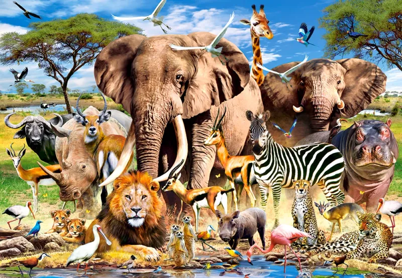 Puzzle 200 elementów. Zwierzęta sawanny zdjęcie 2