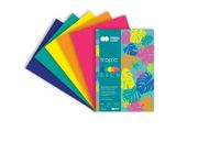 Blok Deco TROPIC 170 g/m2, A4, 20 ark., 5 KOL 8336