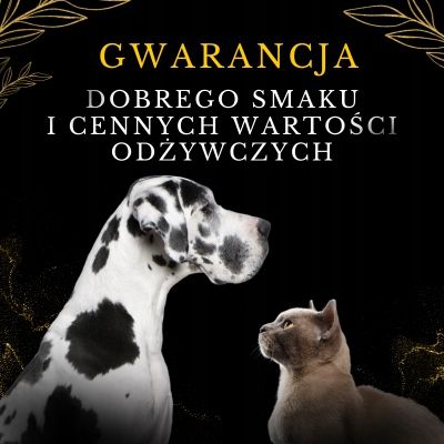 LAB V Olej z łososia z zawartością witamin 250ml na Arena.pl