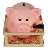Skarbonka Świnka Gigant XXL z Młotkiem w Eleganckiej Drewnianej Skrzynce