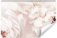 Fototapeta Do Sypialni Pastelowe PIWONIE Peonie Kwiaty 3D 450cm x 300cm