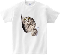 Koszulka T-shirt Kot