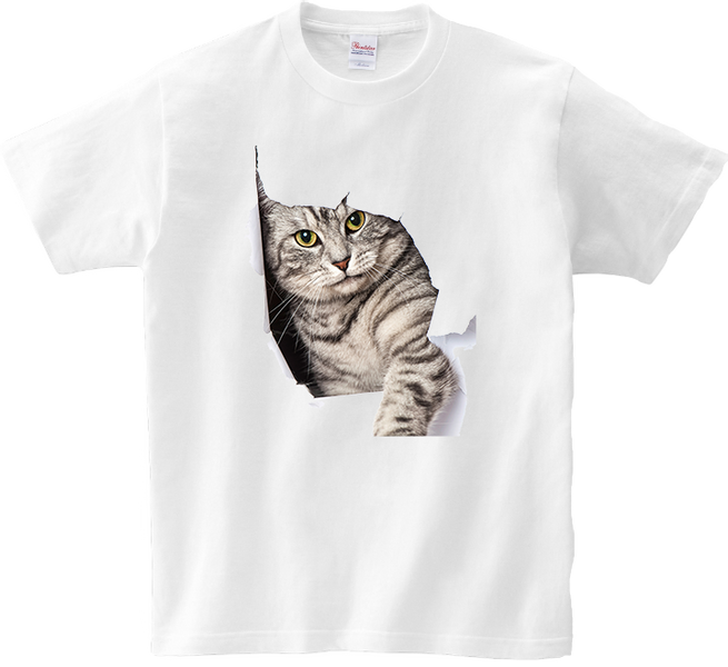 Koszulka T-shirt Kot zdjęcie 1