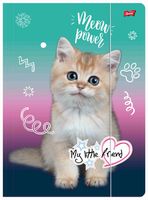 TECZKA Z GUMKĄ A4 MY LITTLE FRIEND KITTY PARTY ST.MAJEWSKI