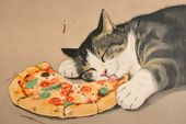 Plakat 30x20cm Pizza Dla Kota