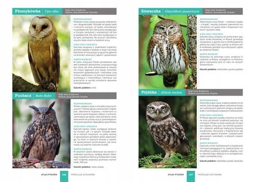 ATLAS PTAKÓW PTAKI POLSKI 250 GATUNKÓW TWARDA OPRAWA KSIĄŻKA NA PREZENT na Arena.pl