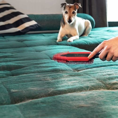 vileda pet pro szczotka elektrostatyczna do sierści i włosów na Arena.pl