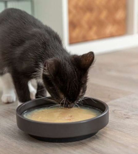 TRIXIE Salmon Soup Zupa łososiowa łosoś kurczak przysmak kota puszka 80g na Arena.pl