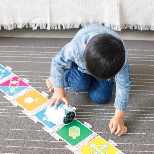 Alilo Inteligentny Robot do nauki programowania na Arena.pl