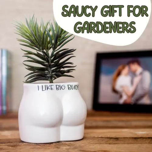 Śmieszna Doniczka do Roślin z napisem „I Like Big Buds” na Arena.pl