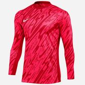 Bluza Nike Gardien V Goalkeeper DF V M FD7474-644 XL