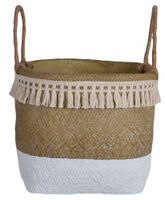 product-compare-55925488