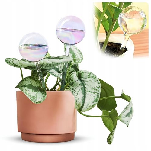 10x KULE NAWADNIAJĄCE DO KWIATÓW ROŚLIN AUTOMATYCZNY DOZOWNIK WODY na Arena.pl