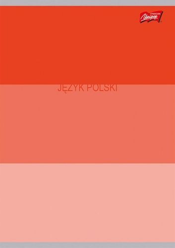 Zestaw Zeszyty Przedmiotowe A5 60k (ściąga) Color Stripes na Arena.pl