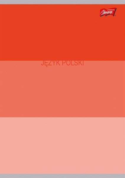 Zestaw Zeszyty Przedmiotowe A5 60k (ściąga) Color Stripes zdjęcie 3