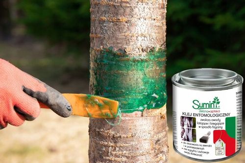 Klej Entomologiczny Owadobójczy 200ml Sumin na Arena.pl
