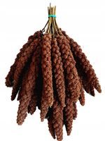 PROSO SENEGALSKIE CZERWONE w KŁOSACH 1kg JAKOŚĆ POKARM DLA PTAKÓW PAPUG