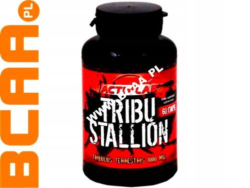 MOCNY TRIBULUS !!! TRIBU STALLION 60 KAP ACTIVLAB na Arena.pl