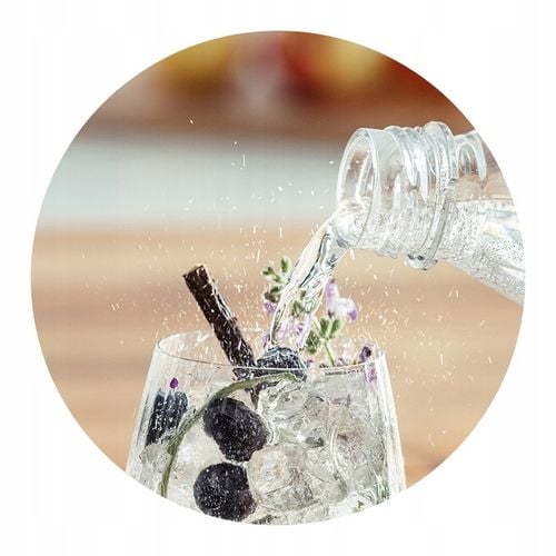 ZESTAW Saturator do wody gazowanej SodaStream Terra butelki baza na Arena.pl