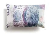 Dekoracyjna Poduszka w kształcie Banknotu - Sto Złotych - 100 PLN