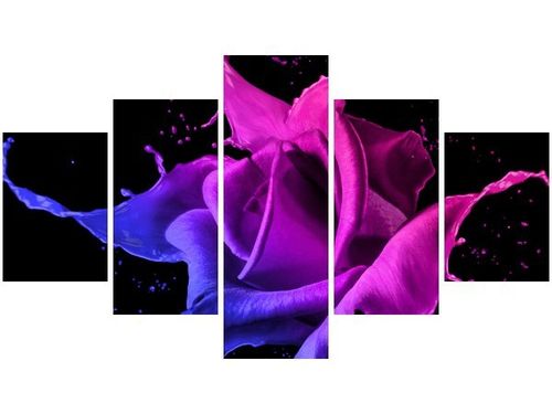 75CM 120 OBRAZ 5 ELEM RÓŻA FARB JAKUB BANAŚ ŚCIENNY DRUK na Arena.pl