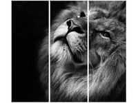 product-compare-58703589