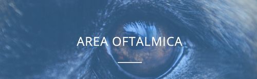 D.O.S. Pet cane e gatto NBF Lanes OCHRONA WZROKU 50 tabletek na Arena.pl