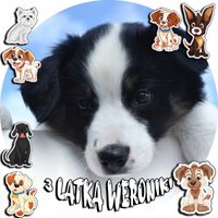 OPŁATEK NA TORT 30CM - PIES PIESEK PSY PSI + IMIĘ + GRATIS! 24CM 26CM