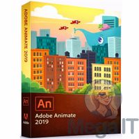 Animate 2019 - Licencja Wieczysta (LifeTime) - Windows - Użytkownik Indywidualny - BOX (ESD)